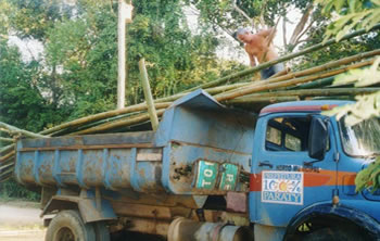 Oficina de Bambu - Imagem 1